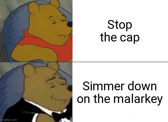 Tuxedo Winnie The Pooh | Stop the cap; Simmer down on the malarkey | image tagged in memes,tuxedo winnie the pooh | made w/ Imgflip meme maker