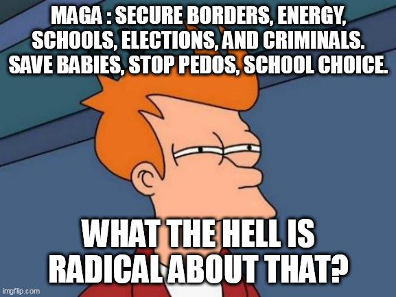 RADICAL? | MAGA : SECURE BORDERS, ENERGY, SCHOOLS, ELECTIONS, AND CRIMINALS. SAVE BABIES, STOP PEDOS, SCHOOL CHOICE. WHAT THE HELL IS RADICAL ABOUT THAT? | image tagged in memes,futurama fry,biden,maga | made w/ Imgflip meme maker