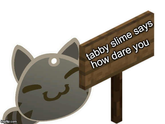 Tabby Slime Says | how dare you | image tagged in tabby slime says | made w/ Imgflip meme maker