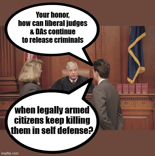 Your honor, how can liberal judges & DAs continue to release criminals when legally armed citizens keep killing them in self defense? | image tagged in courtroom | made w/ Imgflip meme maker