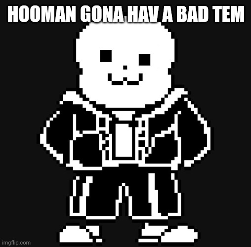 BAD TEM TIME | HOOMAN GONA HAV A BAD TEM | image tagged in bad tem time | made w/ Imgflip meme maker