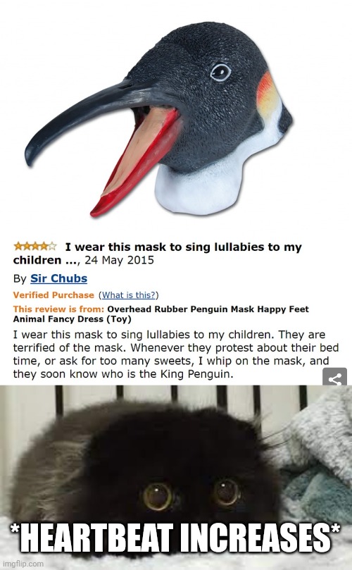 Wtf | *HEARTBEAT INCREASES* | image tagged in scared cat,wtf,penguin,amazon,cursed image,comments | made w/ Imgflip meme maker
