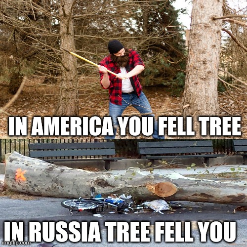 IN AMERICA YOU FELL TREE; IN RUSSIA TREE FELL YOU | image tagged in russia,russians,russian | made w/ Imgflip meme maker