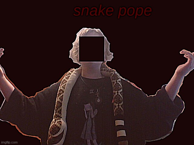 someone pls draw this-- also i didnt mean to make it look edgy lmaoo-??? | snake pope | made w/ Imgflip meme maker