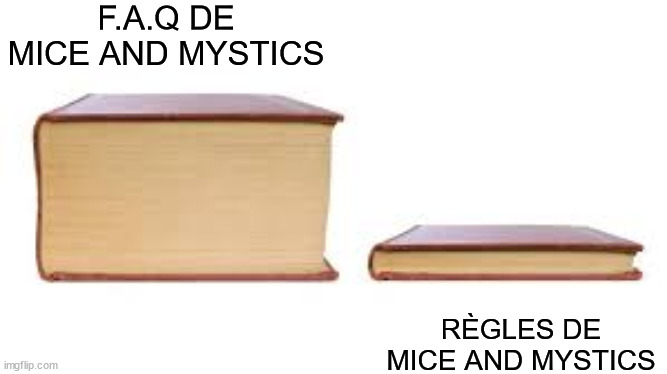 Big book small book | F.A.Q DE MICE AND MYSTICS; RÈGLES DE MICE AND MYSTICS | image tagged in big book small book | made w/ Imgflip meme maker