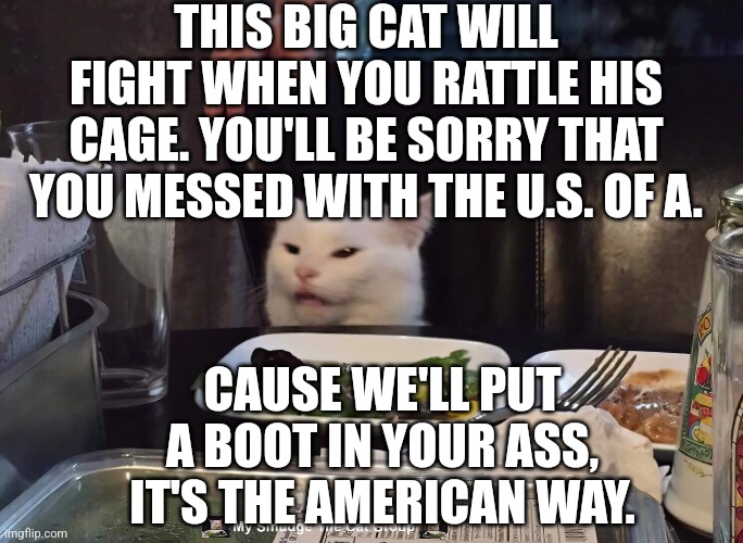 THIS BIG CAT WILL FIGHT WHEN YOU RATTLE HIS CAGE. YOU'LL BE SORRY THAT YOU MESSED WITH THE U.S. OF A. CAUSE WE'LL PUT A BOOT IN YOUR ASS, IT'S THE AMERICAN WAY. | image tagged in smudge the cat | made w/ Imgflip meme maker