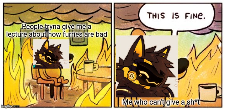 WHY | People tryna give me a lecture about how furries are bad; Me who can't give a sh*t | image tagged in memes,this is fine | made w/ Imgflip meme maker