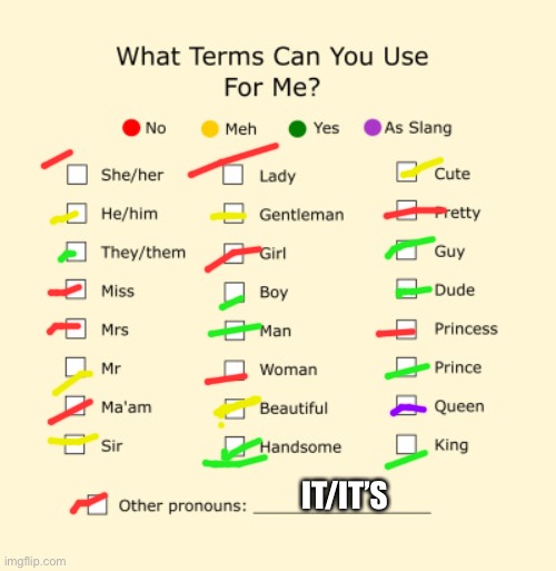 What u can call me | IT/IT’S | image tagged in pronouns sheet,pronouns | made w/ Imgflip meme maker