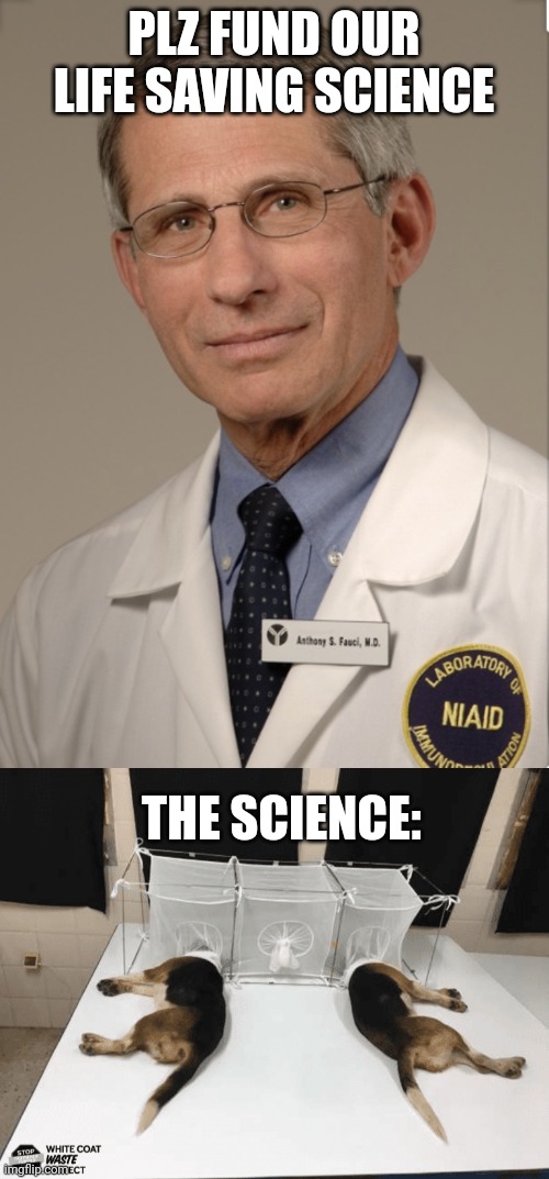 Just to spend the money | PLZ FUND OUR LIFE SAVING SCIENCE; THE SCIENCE: | image tagged in dr fauci,money,science,beagle | made w/ Imgflip meme maker