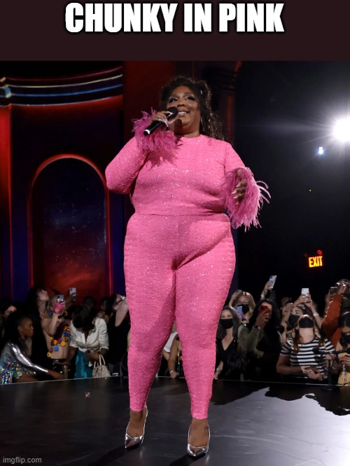 Chunky In Pink | CHUNKY IN PINK | image tagged in chunky,chubby,fat,lizzo,funny,memes | made w/ Imgflip meme maker