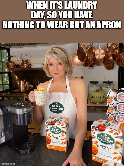 Nothing To Wear But An Apron | WHEN IT'S LAUNDRY DAY, SO YOU HAVE NOTHING TO WEAR BUT AN APRON | image tagged in martha stewart,laundry day,apron,laundry,funny,memes | made w/ Imgflip meme maker