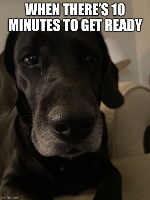 Sad dog | WHEN THERE’S 10 MINUTES TO GET READY | image tagged in sad dog | made w/ Imgflip meme maker