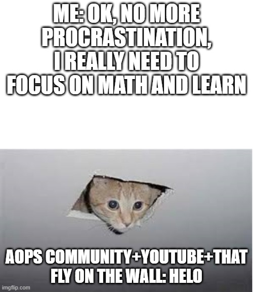 relatable? | ME: OK, NO MORE PROCRASTINATION, I REALLY NEED TO FOCUS ON MATH AND LEARN; AOPS COMMUNITY+YOUTUBE+THAT FLY ON THE WALL: HELO | image tagged in aops | made w/ Imgflip meme maker