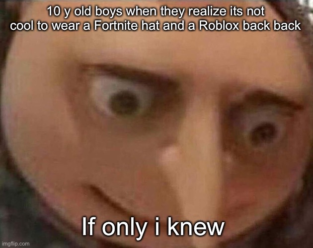 E | 10 y old boys when they realize its not cool to wear a Fortnite hat and a Roblox back back; If only i knew | image tagged in gru meme | made w/ Imgflip meme maker