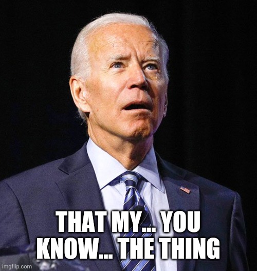 Joe Biden | THAT MY... YOU KNOW... THE THING | image tagged in joe biden | made w/ Imgflip meme maker