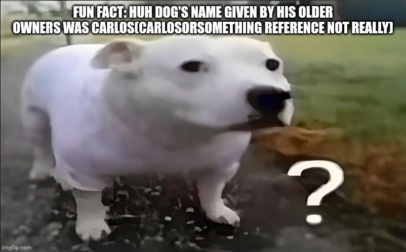 In my Lore not irl | FUN FACT: HUH DOG'S NAME GIVEN BY HIS OLDER OWNERS WAS CARLOS(CARLOSORSOMETHING REFERENCE NOT REALLY) | image tagged in huh dog | made w/ Imgflip meme maker