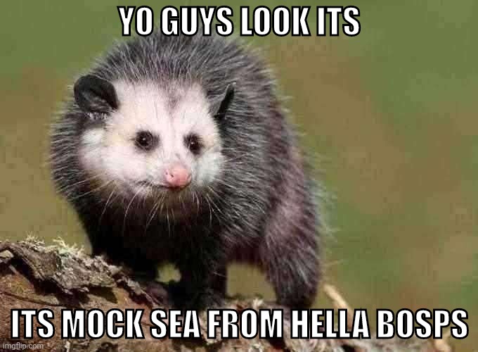 YO GUYS LOOK ITS; ITS MOCK SEA FROM HELLA BOSPS | made w/ Imgflip meme maker