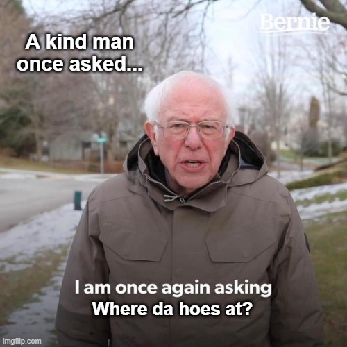 Bernie I Am Once Again Asking For Your Support | A kind man once asked... Where da hoes at? | image tagged in memes,bernie i am once again asking for your support | made w/ Imgflip meme maker