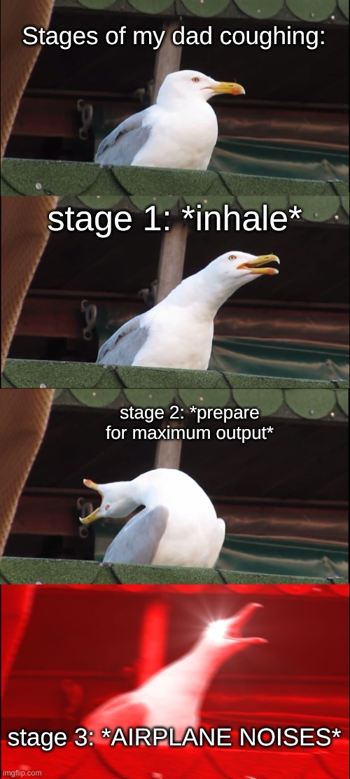 stages of my dad coughing | Stages of my dad coughing:; stage 1: *inhale*; stage 2: *prepare for maximum output*; stage 3: *AIRPLANE NOISES* | image tagged in memes,inhaling seagull | made w/ Imgflip meme maker