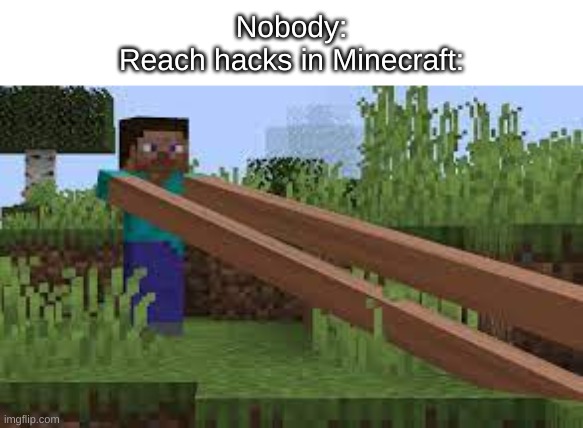 haccing | Nobody:
Reach hacks in Minecraft: | image tagged in long armed steve | made w/ Imgflip meme maker