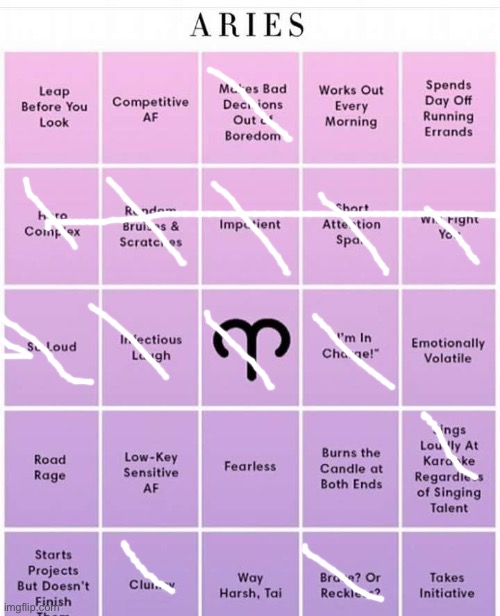 Im an Ascendant Aries apparently | image tagged in aries bingo | made w/ Imgflip meme maker