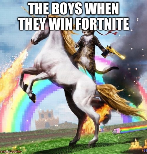 Welcome To The Internets Meme | THE BOYS WHEN THEY WIN FORTNITE | image tagged in memes,welcome to the internets,fortnite,cat,unicorn | made w/ Imgflip meme maker