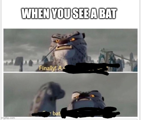 Finally! A worthy opponent! | WHEN YOU SEE A BAT | image tagged in finally a worthy opponent | made w/ Imgflip meme maker