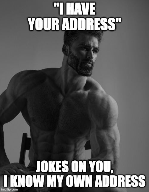 OWNED | "I HAVE YOUR ADDRESS"; JOKES ON YOU, I KNOW MY OWN ADDRESS | image tagged in giga chad,owned,memes,funny | made w/ Imgflip meme maker