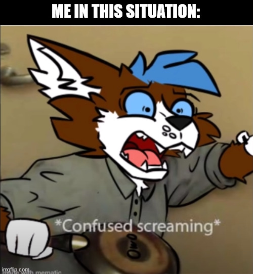 Confused furry screaming | ME IN THIS SITUATION: | image tagged in confused furry screaming | made w/ Imgflip meme maker