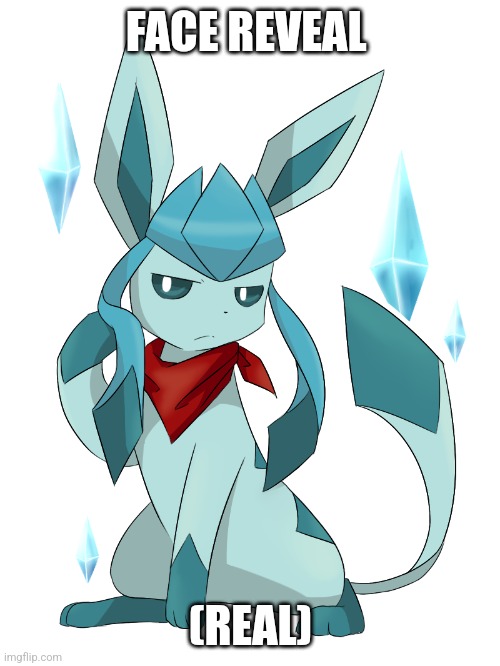 glaceon bandana | FACE REVEAL (REAL) | image tagged in glaceon bandana | made w/ Imgflip meme maker