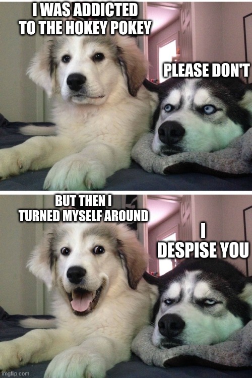 Bad pun dogs | I WAS ADDICTED TO THE HOKEY POKEY; PLEASE DON'T; BUT THEN I TURNED MYSELF AROUND; I DESPISE YOU | image tagged in bad pun dogs | made w/ Imgflip meme maker