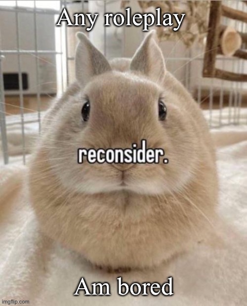 reconsider | Any roleplay; Am bored | image tagged in reconsider | made w/ Imgflip meme maker