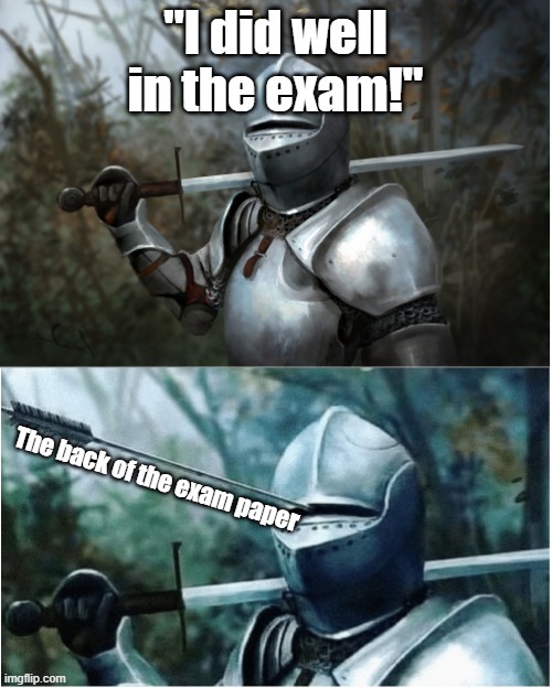 This hurts so bad... | "I did well in the exam!"; The back of the exam paper | image tagged in knight with arrow in helmet | made w/ Imgflip meme maker
