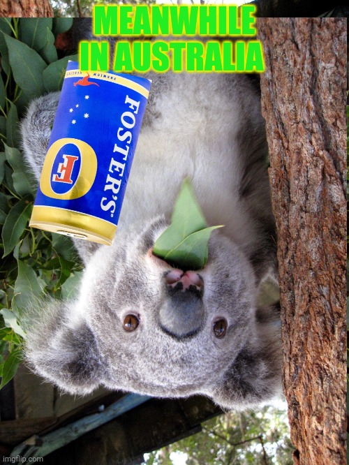 I spilled my beer | MEANWHILE IN AUSTRALIA | image tagged in i,spilled,my,beer,meanwhile in australia | made w/ Imgflip meme maker