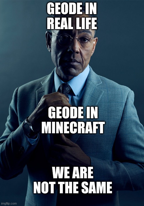 Gus Fring we are not the same | GEODE IN REAL LIFE; GEODE IN MINECRAFT; WE ARE NOT THE SAME | image tagged in gus fring we are not the same | made w/ Imgflip meme maker