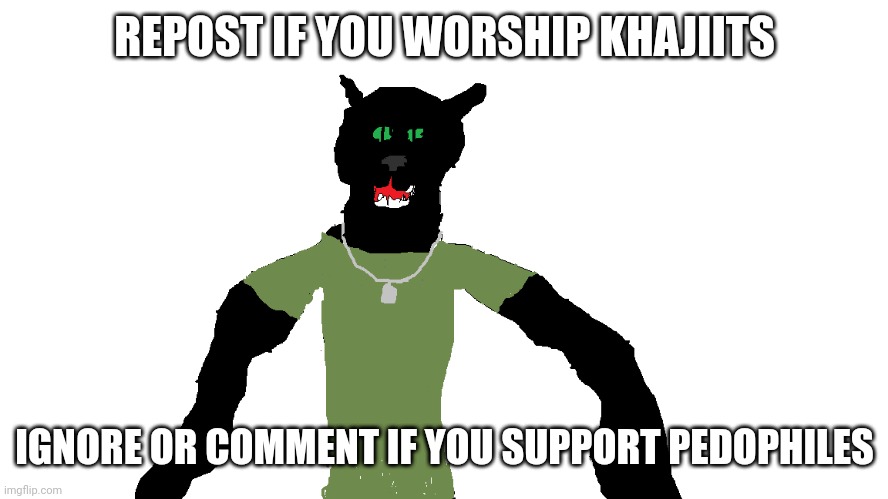 My panther fursona | REPOST IF YOU WORSHIP KHAJIITS; IGNORE OR COMMENT IF YOU SUPPORT PEDOPHILES | image tagged in my panther fursona | made w/ Imgflip meme maker