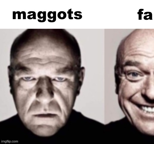 happy man cropped | fa; maggots | image tagged in happy man cropped | made w/ Imgflip meme maker