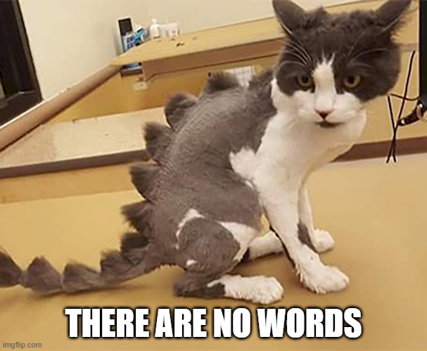 Catosaurus | THERE ARE NO WORDS | image tagged in unsee juice | made w/ Imgflip meme maker