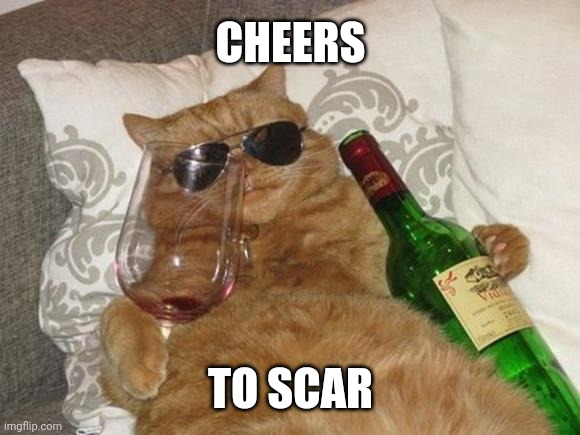 Funny Cat Birthday | CHEERS TO SCAR | image tagged in funny cat birthday | made w/ Imgflip meme maker