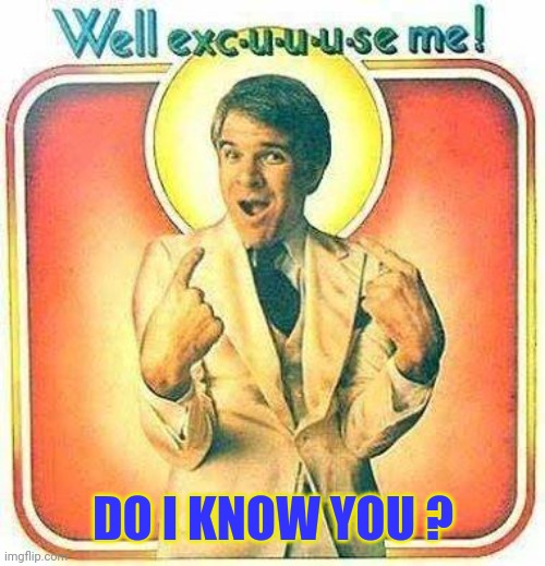 Steve Martin | DO I KNOW YOU ? | image tagged in steve martin | made w/ Imgflip meme maker