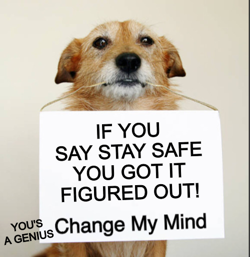 WE ALL KNOW TWO + TWO IS ! | IF YOU SAY STAY SAFE YOU GOT IT FIGURED OUT! YOU'S A GENIUS | image tagged in change my mind dog | made w/ Imgflip meme maker