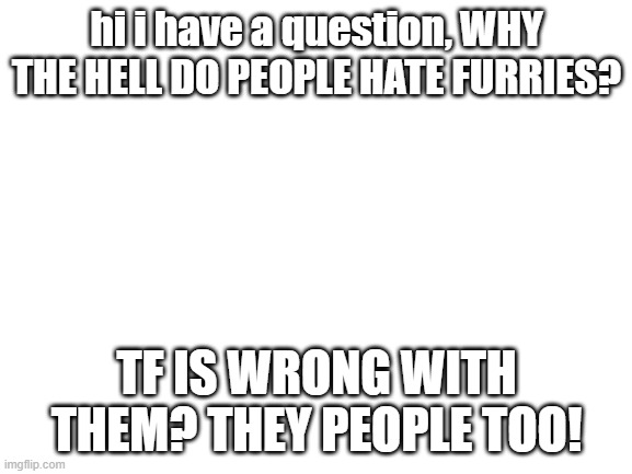 WHY DO PEOPLE HATE FURRIES | hi i have a question, WHY THE HELL DO PEOPLE HATE FURRIES? TF IS WRONG WITH THEM? THEY PEOPLE TOO! | image tagged in blank white template | made w/ Imgflip meme maker