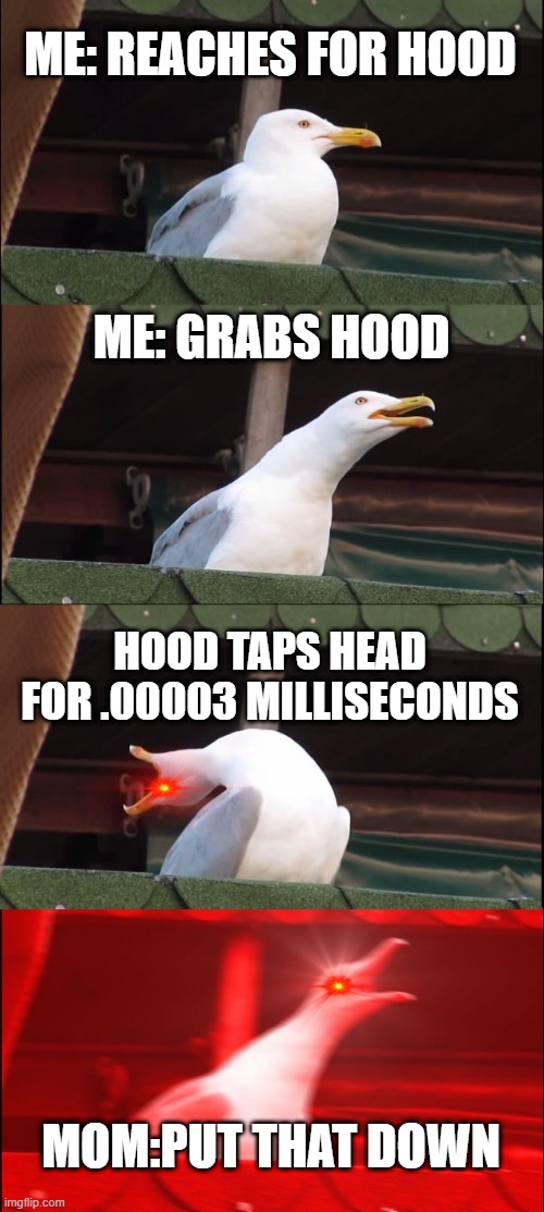 HOOD |  ME: REACHES FOR HOOD; ME: GRABS HOOD; HOOD TAPS HEAD FOR .00003 MILLISECONDS; MOM:PUT THAT DOWN | image tagged in memes,inhaling seagull,hoodie,mom,bruh | made w/ Imgflip meme maker