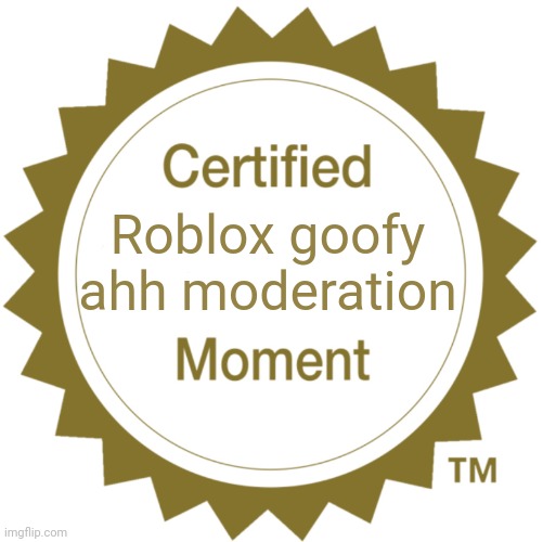 Certified Moment | Roblox goofy ahh moderation | image tagged in certified moment | made w/ Imgflip meme maker