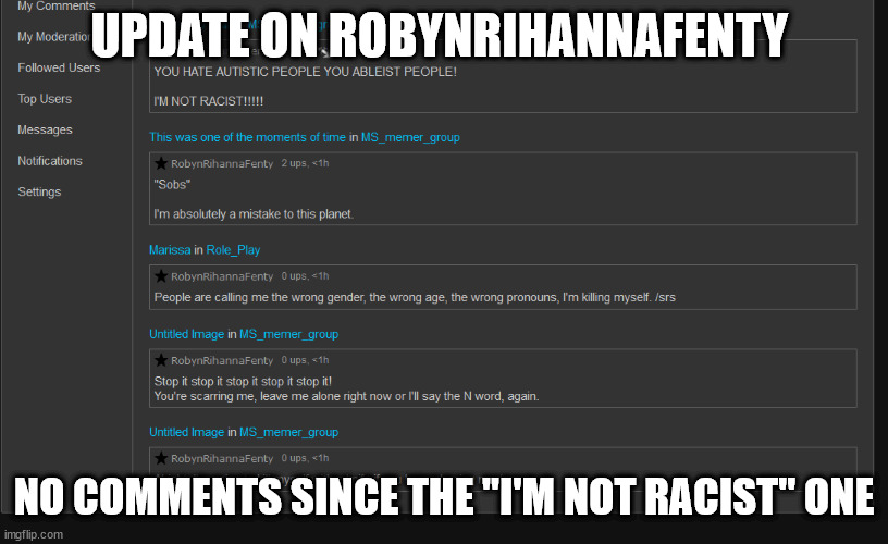 UPDATE ON ROBYNRIHANNAFENTY; NO COMMENTS SINCE THE "I'M NOT RACIST" ONE | made w/ Imgflip meme maker