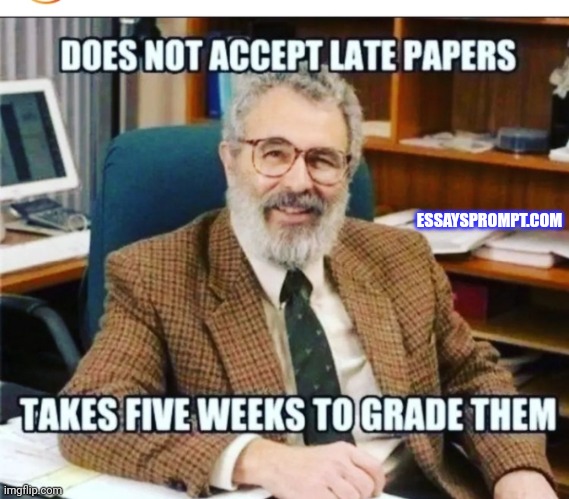 ESSAYSPROMPT.COM | made w/ Imgflip meme maker