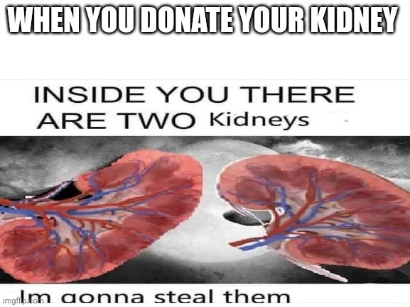 WHEN YOU DONATE YOUR KIDNEY | image tagged in funny | made w/ Imgflip meme maker