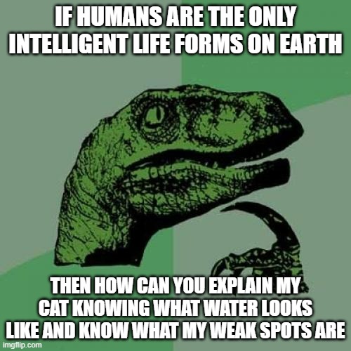 My intelligent cat | IF HUMANS ARE THE ONLY INTELLIGENT LIFE FORMS ON EARTH; THEN HOW CAN YOU EXPLAIN MY CAT KNOWING WHAT WATER LOOKS LIKE AND KNOW WHAT MY WEAK SPOTS ARE | image tagged in memes,philosoraptor,cats,water | made w/ Imgflip meme maker