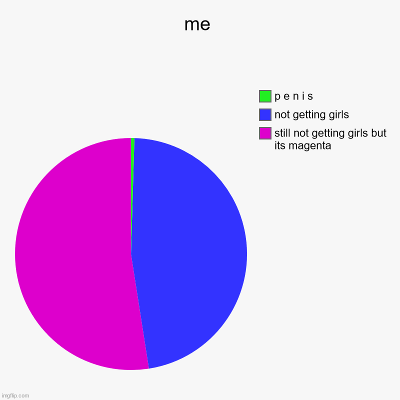 me | me | still not getting girls but its magenta, not getting girls, p e n i s | image tagged in charts,pie charts | made w/ Imgflip chart maker