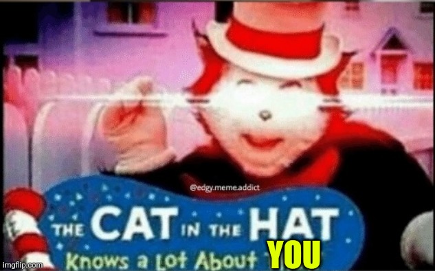 cat in the hat knows alot about that | YOU | image tagged in cat in the hat knows alot about that | made w/ Imgflip meme maker